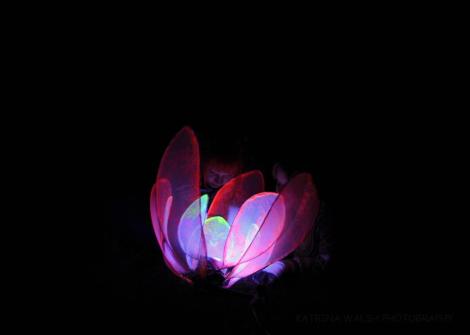 This is a proto type for a larger version still in the pipe works. Four out of five displayed at a festival were stolen and people have kindly donated some funds in order to make the next versions.