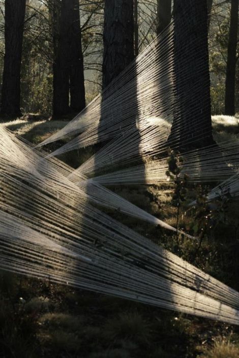 Photo courtesy of Heike Tron